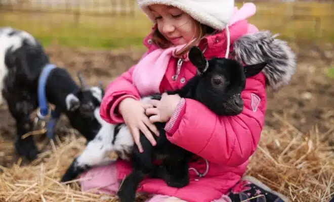 Les meilleures destinations pour faire découvrir la faune aux enfants