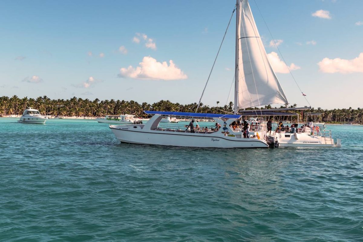 expériences marines aux Antilles catamaran